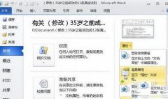 雨林木风win10系统如何查看word文档修改次数