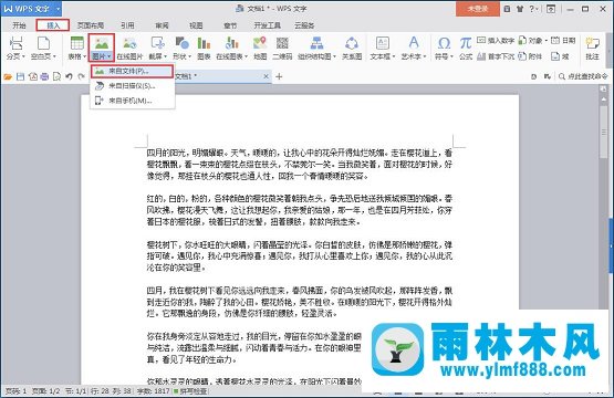 雨林木风win7系统下使用wps文字环绕功能教程