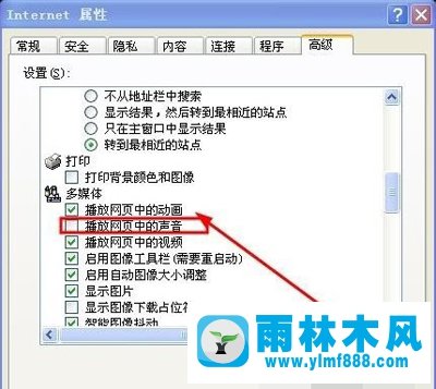 雨林木风XP系统网页没有声音怎么解决？