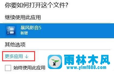 雨林木风win10系统如何打开dat文件？